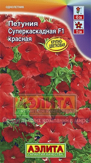 Петуния суперкаскадная красная
