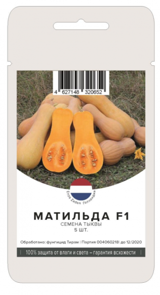 Тыква Матильда F1