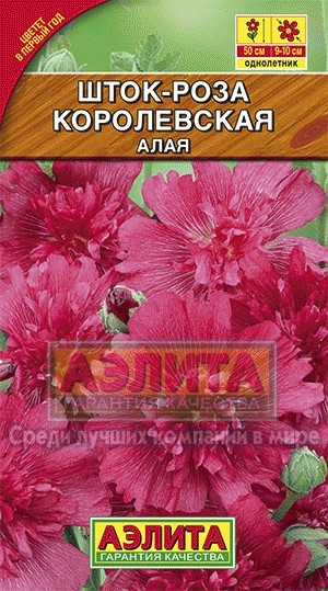Шток-роза королевская алая