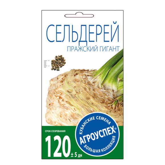 Сельдерей корневой Пражский гигант