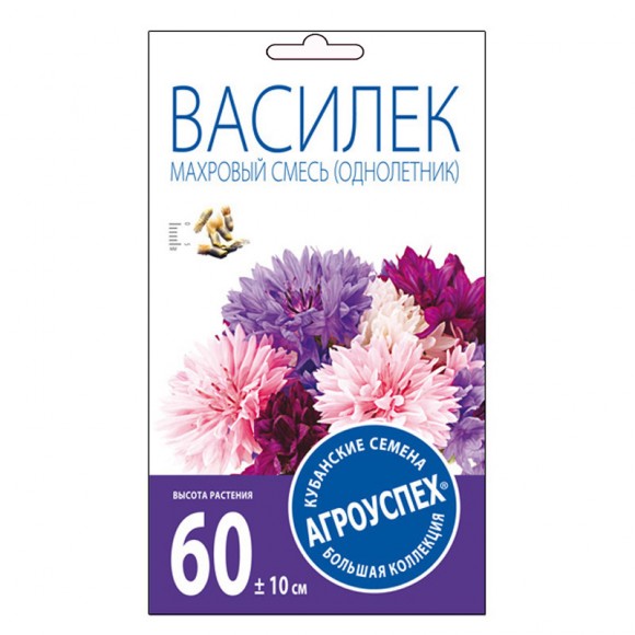 Василек Махровый