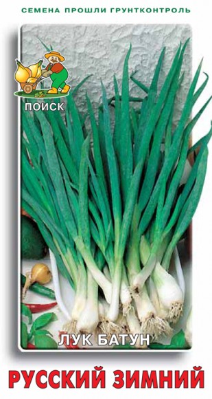 Лук батун Русский зимний 