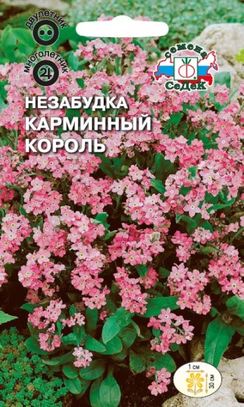 Незабудка Карминный Король