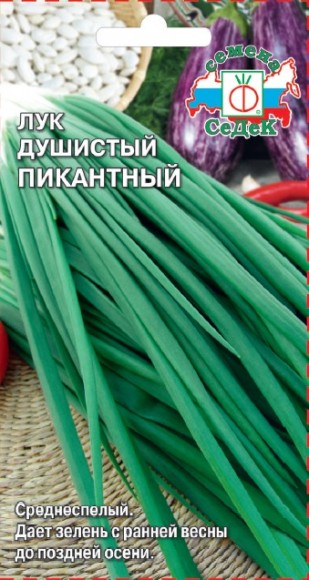Лук на зелень душистый Пикантный 