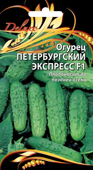 Огурец Петербургский экспресс F1 