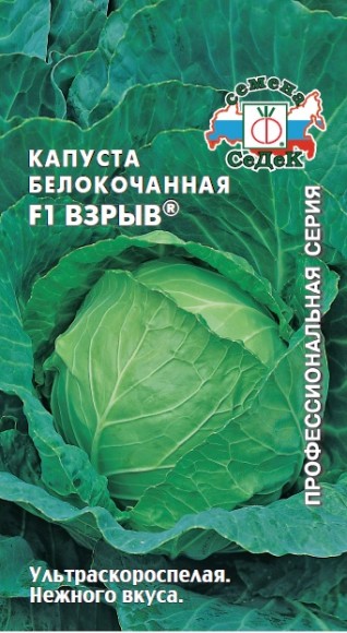 Капуста белокочанная Взрыв F1