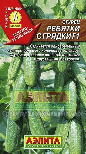 Огурец Ребятки с грядки F1