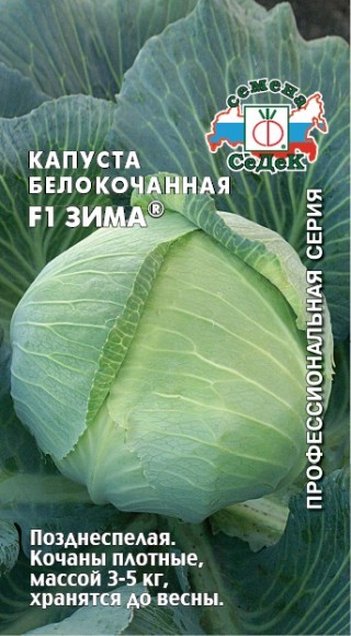 Капуста белокочанная Зима F1 