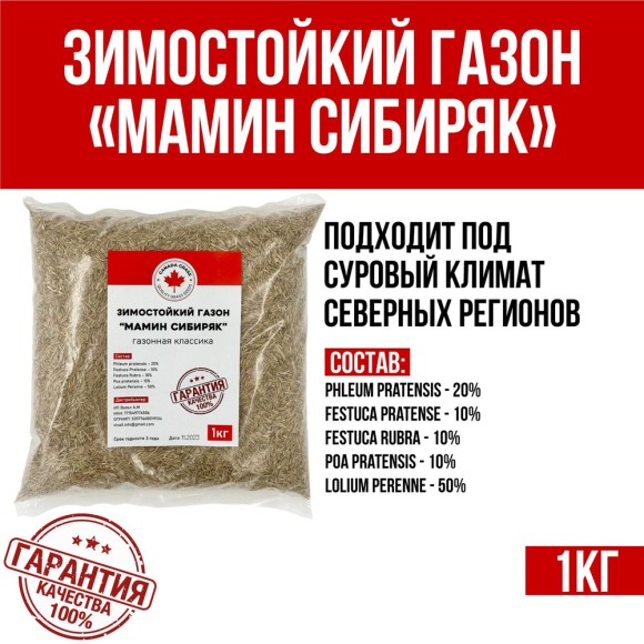 Canada Grass Зимостойкий декоративный газон Мамин Сибиряк семена, 1 кг