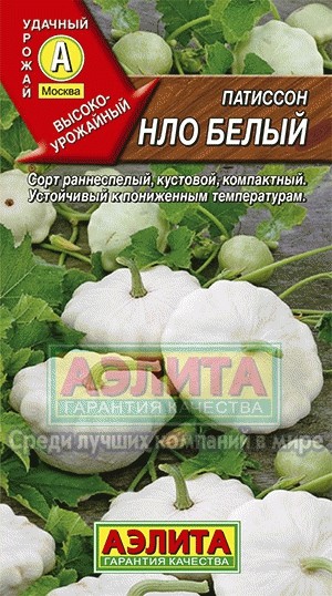 Патиссон НЛО белый