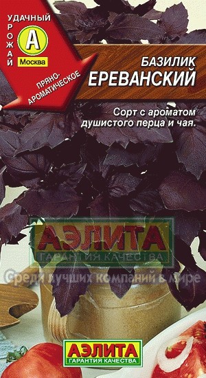 Базилик Ереванский