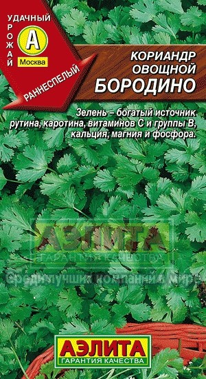 Кориандр Бородино
