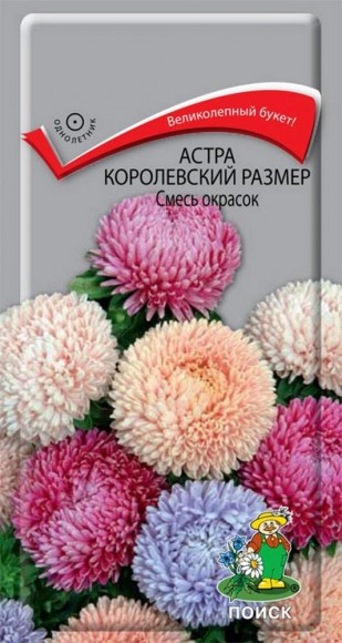Астра Королевский размер 