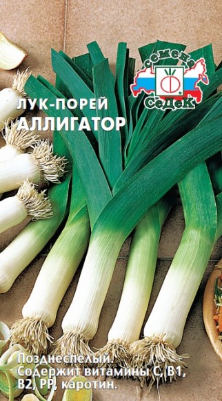 Лук порей Аллигатор