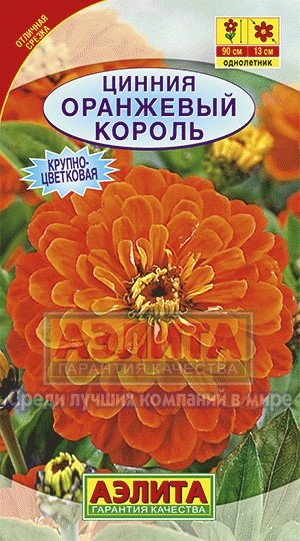 Цинния Оранжевый король