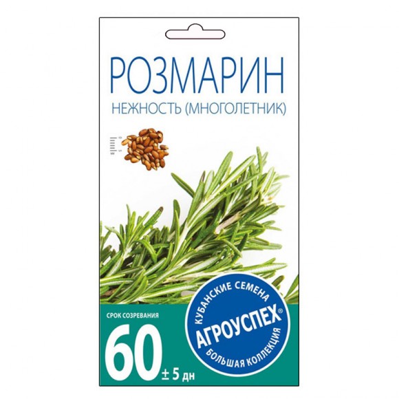 Розмарин Нежность 