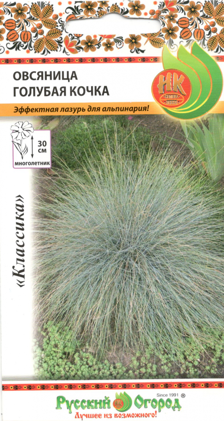 Овсяница Овечья Купить Семена