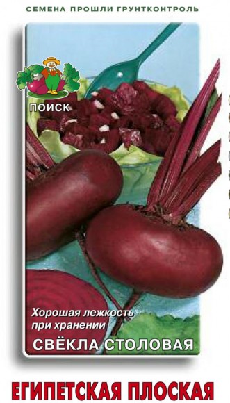 Свекла Египетская плоская столовая Свекла Египетская плоская столовая