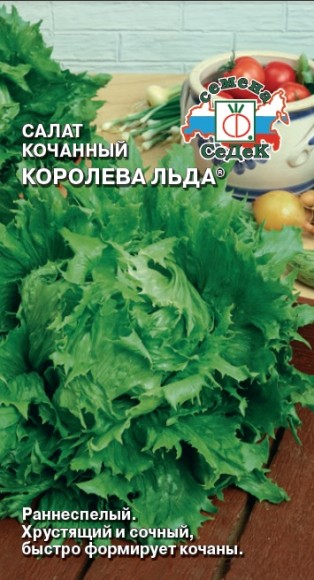 Салат кочанный Королева Льда 