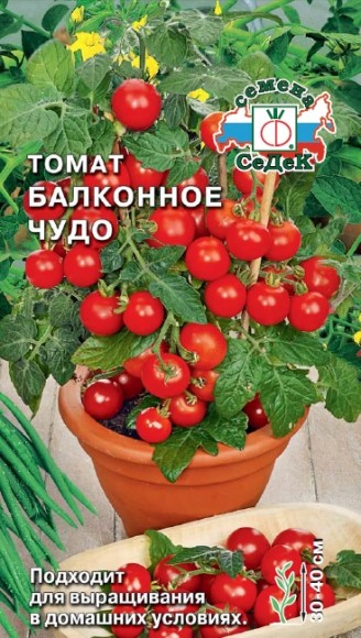 Томат Балконное чудо тип черри 