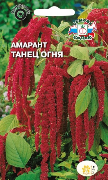 Амарант Танец огня хвостатый