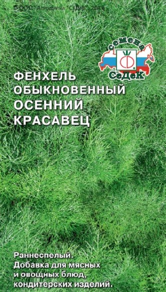 Фенхель Осенний Красавец
