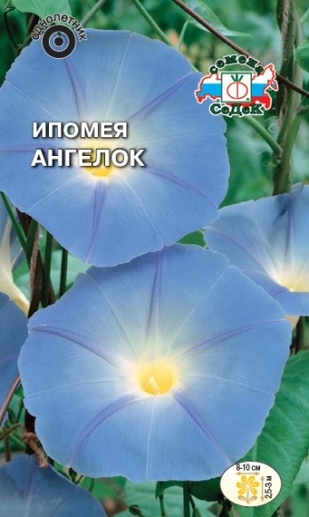 Ипомея триколор Ангелок, нежно-голубая