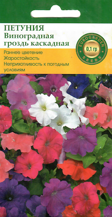 Петуния каскадная Виноградная гроздь