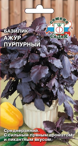 Базилик Ажур Пурпурный