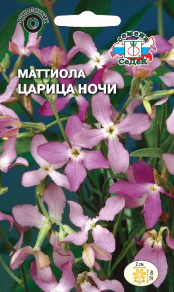 Маттиола двурогая Царица Ночи