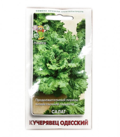 Салат полукочанный Кучерявец Одесский