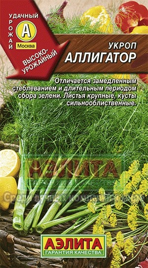 Укроп Аллигатор