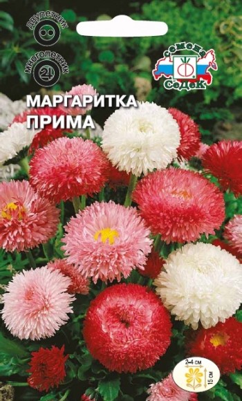 Маргаритка Прима многолетняя, махровая, смесь